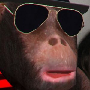 Meet your Posher, Cavan